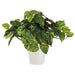 PLUS（プラス）オフィス家具 人工樹木 ポトスブッシュ 90240　