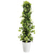 PLUS（プラス）オフィス家具 人工樹木 MIXヘゴ グリーンライム 90241　