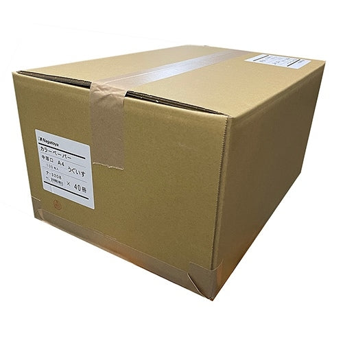 Nagatoya カラーペーパー中厚口A4 うぐいす100枚 4961411732088