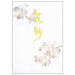 Apica letter paper sen 301 flower wonder semi-B5 40 pieces
