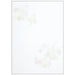 Apica letter paper sen 301 flower wonder semi-B5 40 pieces