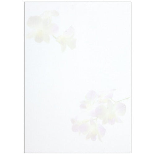 アピカ 便箋  セン３０１  花妙  セミＢ５  ４０枚 4970090511617