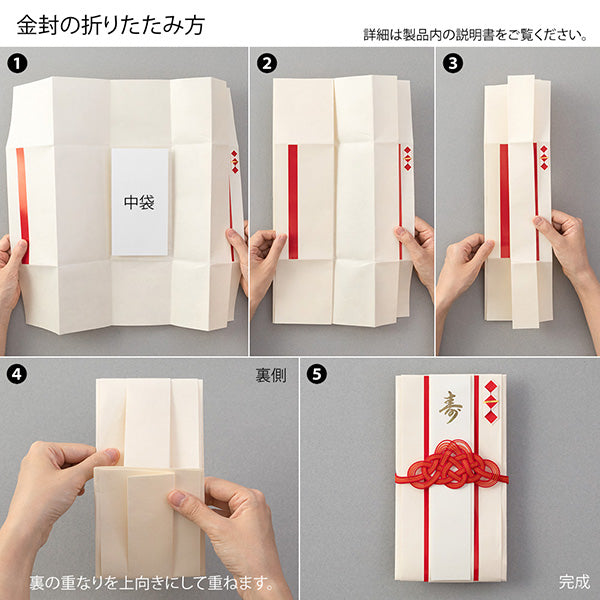 ミドリ キンプウイワイオリガタホソオリアカ 25493006 4902805254939（5セット）