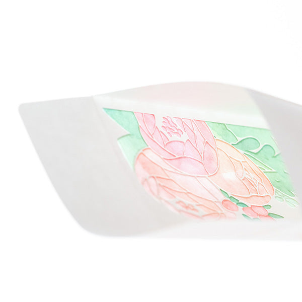 OS 金封のし袋 25532 ミドリ 25532006　4902805255325（10セット）