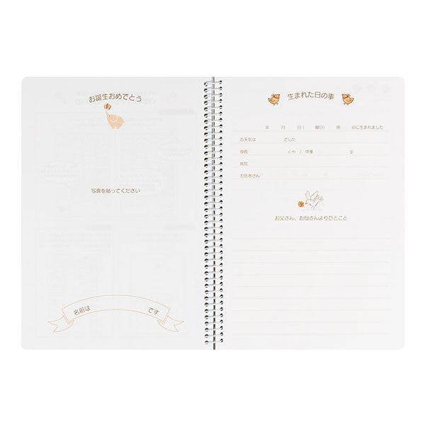 ミドリ/HFﾀﾞｲｱﾘｰA5ｲｸｼﾞ 4902805260077