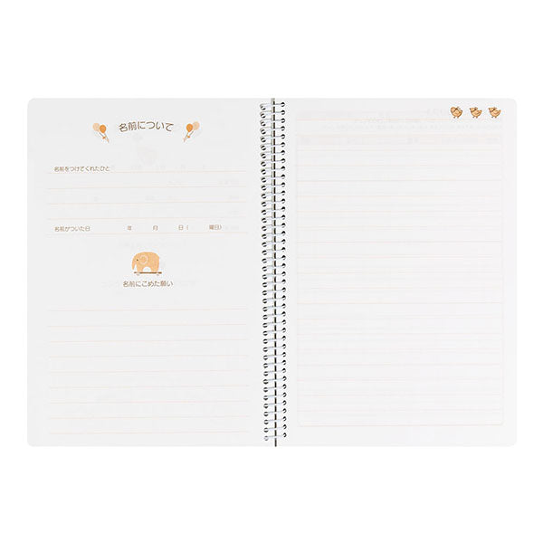 ミドリ/HFﾀﾞｲｱﾘｰA5ｲｸｼﾞ 4902805260077（10セット）