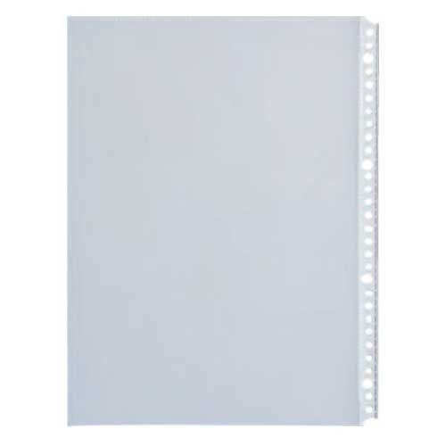 LIHITLAB. クリヤーポケット G49070 A4S 30穴 20枚 4903419352325