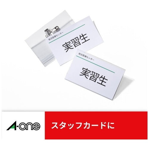 エーワン マルチカード 51216 吊下名札横特大用100枚