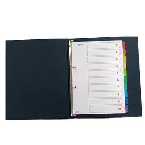 Mt. テージーカラーインデックス PP A4S 2 hole 10 IN-1410 4904611011669