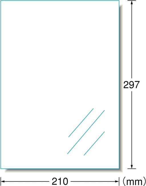 エーワン ラベルシール ツヤ消し 透明 ノーカット 10枚 28428（10セット）