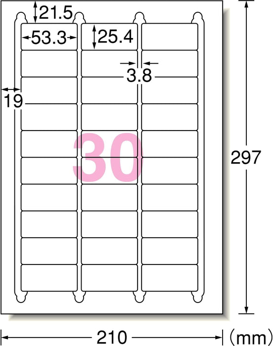 エーワン ラベルシール プリンタ兼用 30面 100枚 28455（10セット）