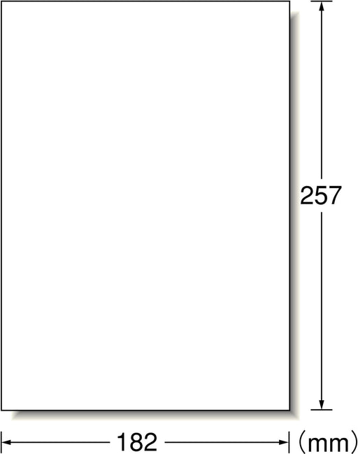 エーワン コピー ラベル 紙ラベル B5判 100枚 28772（10セット）