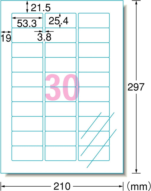 エーワン_インクジェットプリンタラベル３０面 28973 /4906186289733