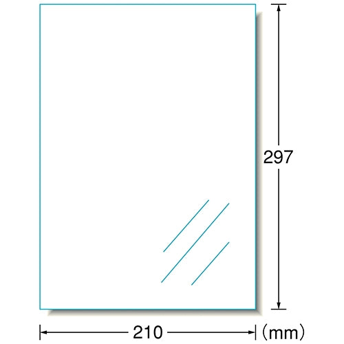 A-One Schilderetikett für den Außenbereich, A4, 31032, glänzend, transparent, 10 Blatt, 4906186310321