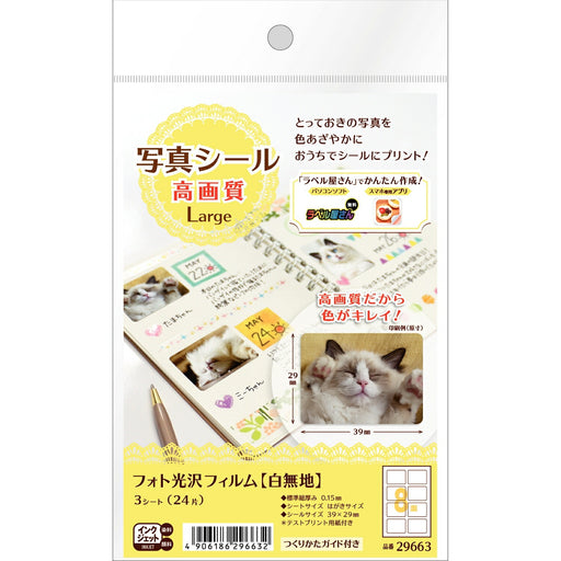 エーワン 写真シール高画質ＬＡＲＧＥ ２９６６３（10セット）