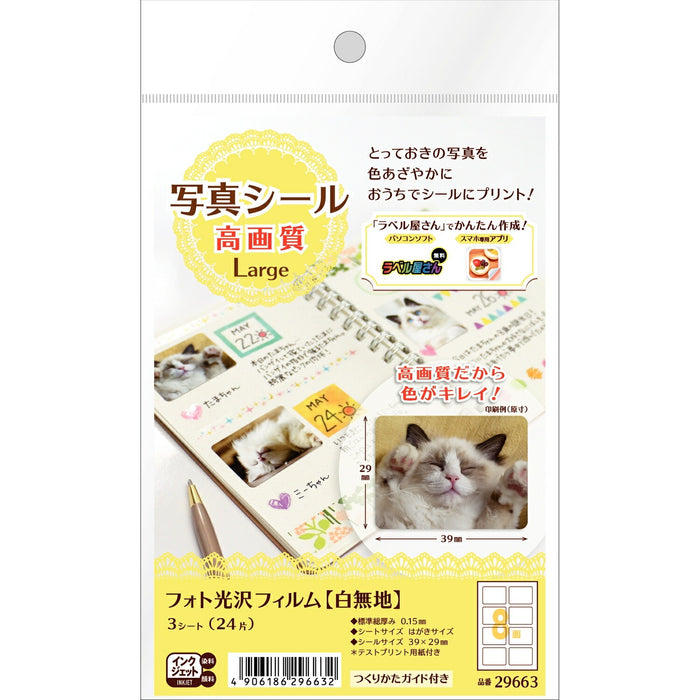 エーワン 写真シール高画質ＬＡＲＧＥ ２９６６３（10セット）