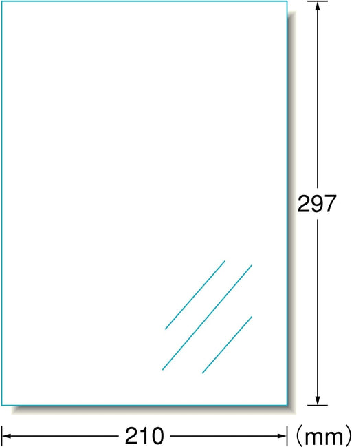 エーワン 屋外でも使えるラベル 光沢透明 10枚 31032（10セット）