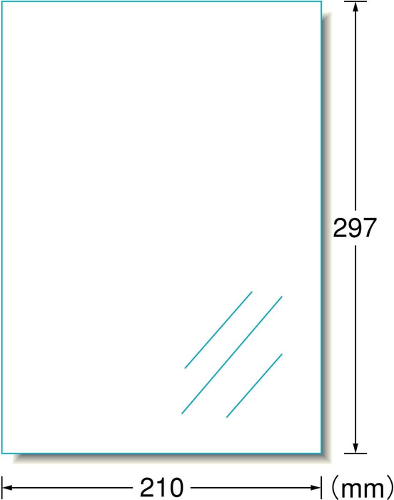 エーワン 屋外でも使えるラベル ツヤ消し透明 10枚 31036（10セット）