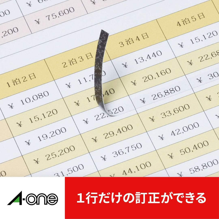 エーワン ラベルシール プリンタ兼用 透かしても読めない修正 110面 12枚 31677（10セット）