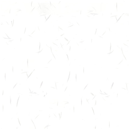 長門屋商店 和み紙 ナ-761V A4 しろ 4961411517616