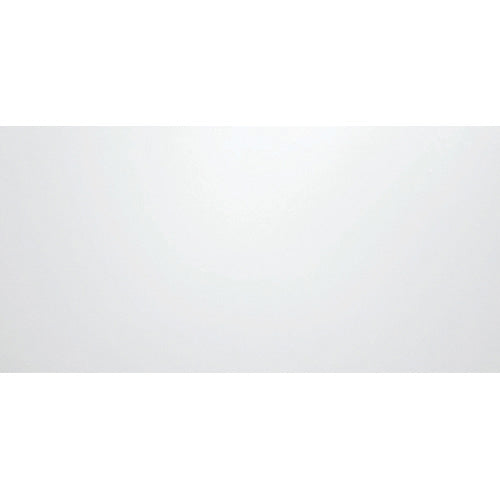 ニチレイマグネット マグネスクリーン MS-9018 70型ワイド 4512567045074