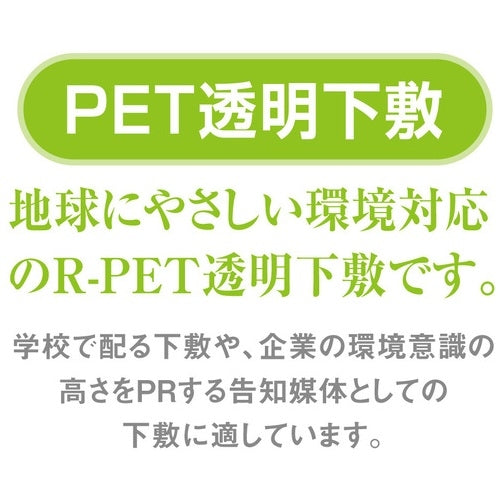 共栄プラスチック ＰＥＴ透明下敷 A4判 P-1307 4963346131240