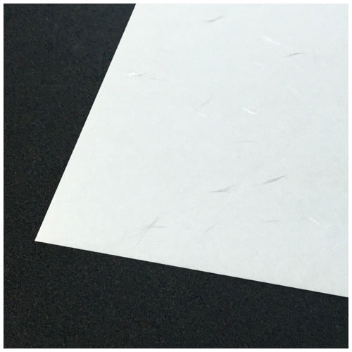 Big Bill Nagatoya OA paper na-857 250-sheet A4 white