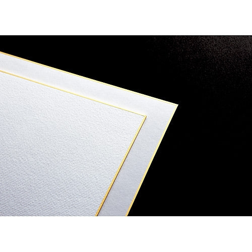 50 pieces of N101J-S for the join tex colored paper signature containing