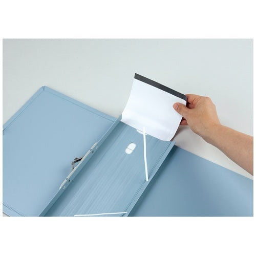 Sekisei growth - る file AE-1250-61 light gray