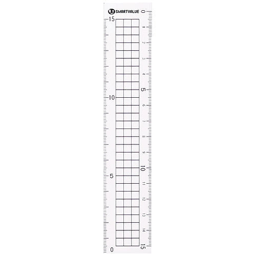 スマートバリュー 再生PET直定規15cm B331J