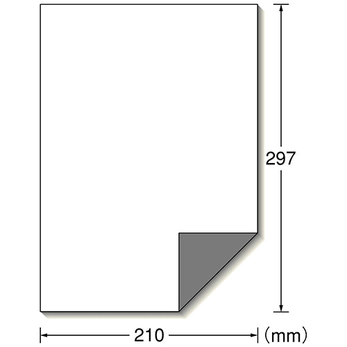 A-One Schilderetikett für den Außenbereich, A4, 31040, blickdicht, weiß, 10 Stück, 4906186310406
