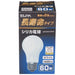 Asahi Electric Long Life Silica Light Bulb 60W Type E26 LW100V57W 4901087190225