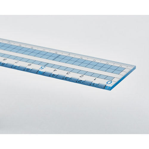 Reimei Fujii Easy-to-read grid ruler 15cm AJH158 4902562339719