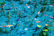 Beverly M81-564 Monet's Pond 4977524815648