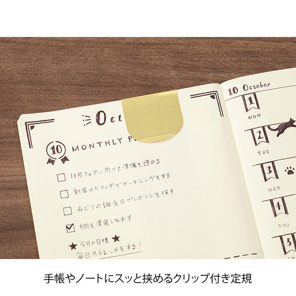 OS クリップルーラー飾り罫柄 ミドリ 42282006（5セット）