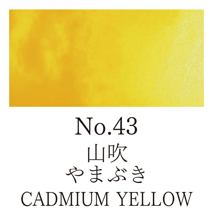 くれ竹 顔彩耽美ＮＯ．４３ヤマブキ MC21-43　4901427172034（5セット）