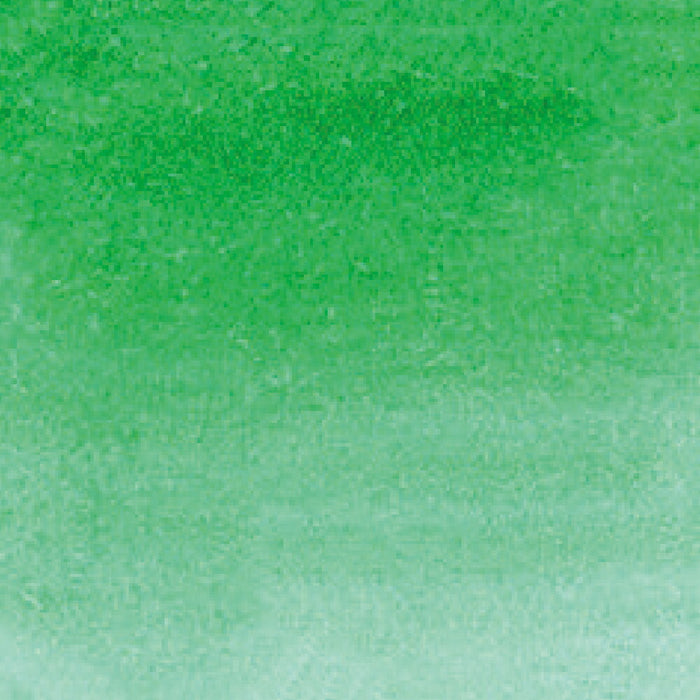 呉竹 ZIG クリーンカラーリアルブラッシュ NO.040 RB-6000AT-040（10セット）