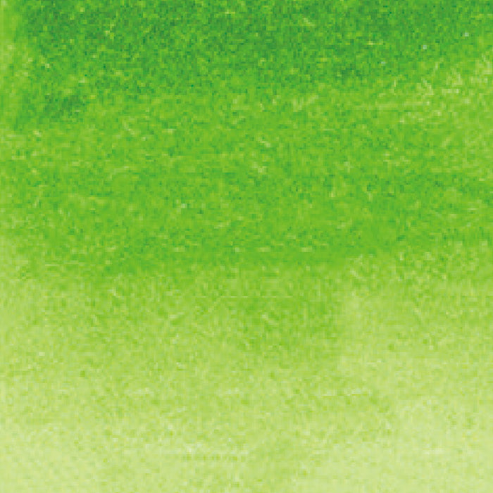 呉竹 ZIG クリーンカラーリアルブラッシュ NO.041 RB-6000AT-041（10セット）