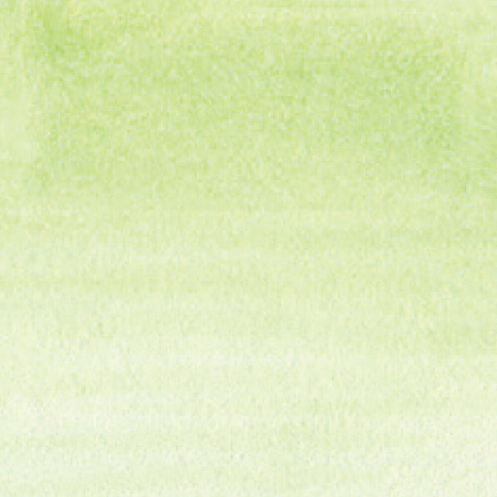 呉竹 ZIG クリーンカラーリアルブラッシュ NO.045 RB-6000AT-045（10セット）