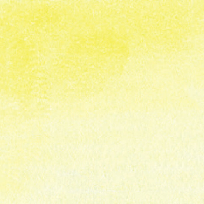 呉竹 ZIG クリーンカラーリアルブラッシュ NO.051 RB-6000AT-051（10セット）