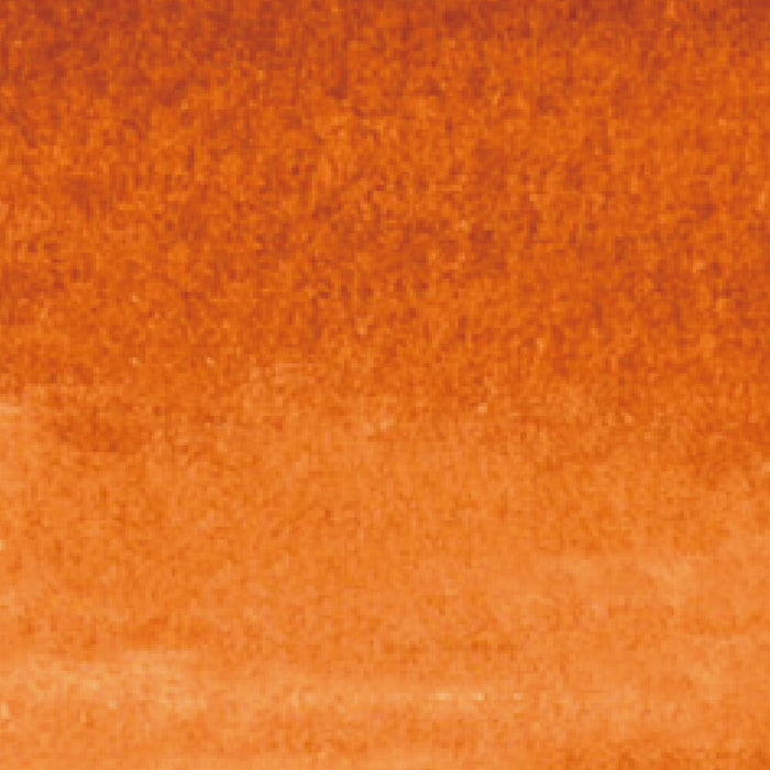 呉竹 ZIG クリーンカラーリアルブラッシュ NO.060 RB-6000AT-060（10セット）