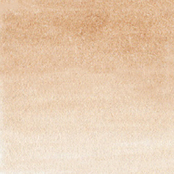 呉竹 ZIG クリーンカラーリアルブラッシュ NO.064 RB-6000AT-064（10セット）