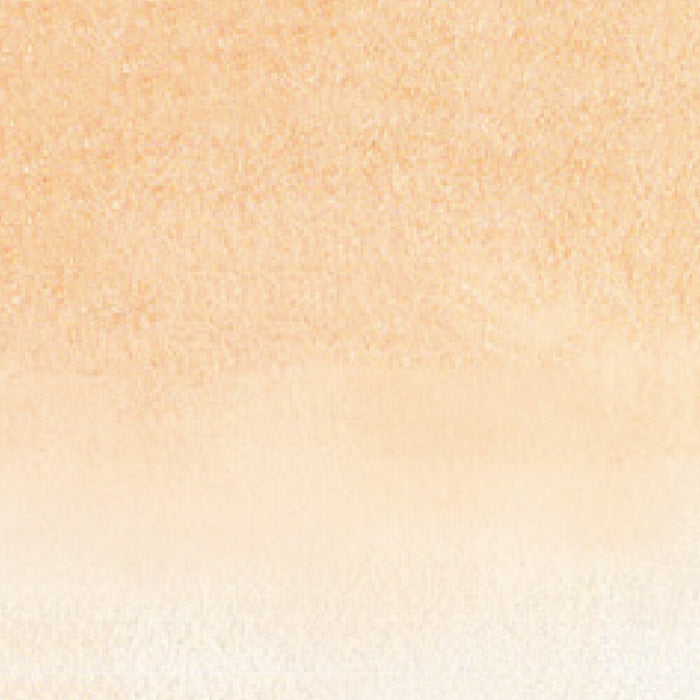 呉竹 ZIG クリーンカラーリアルブラッシュ NO.071 RB-6000AT-071（10セット）