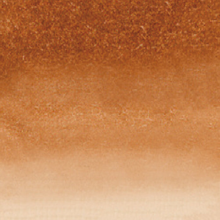 呉竹 ZIG クリーンカラーリアルブラッシュ NO.072 RB-6000AT-072（10セット）