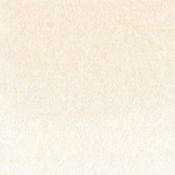 呉竹 ZIG クリーンカラーリアルブラッシュ NO.002 RB-6000AT-002（10セット）