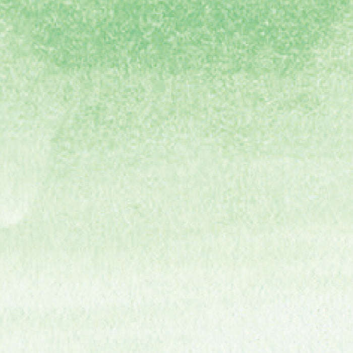 呉竹 ZIG クリーンカラーリアルブラッシュ NO.004 RB-6000AT-004（10セット）