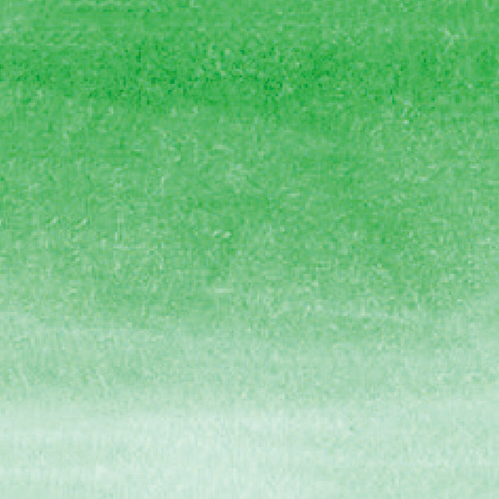 呉竹 ZIG クリーンカラーリアルブラッシュ NO.048 RB-6000AT-048（10セット）