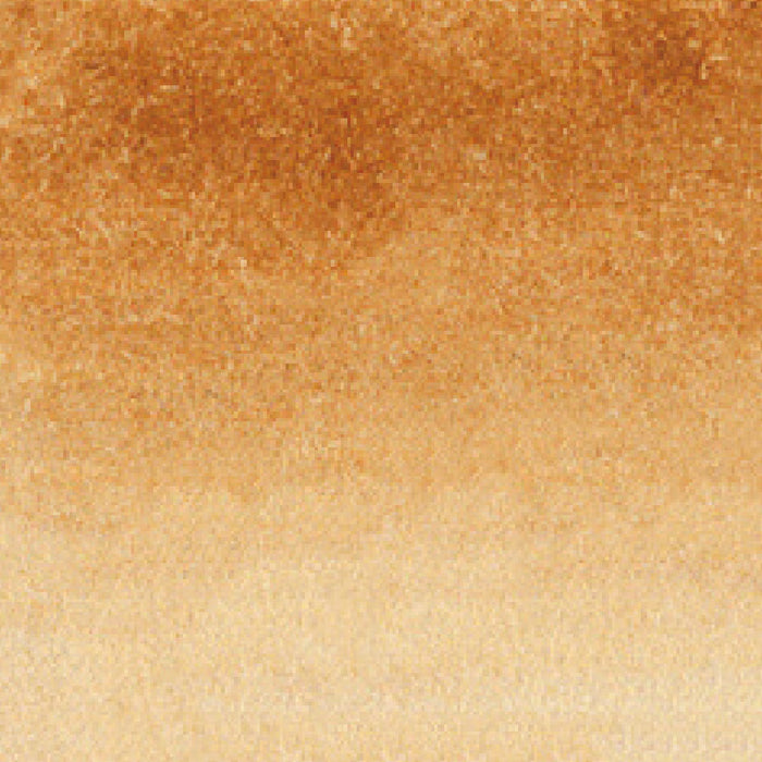 くれ竹 クリーンカラーリアルブラッシュ RB6000AT067（10セット）