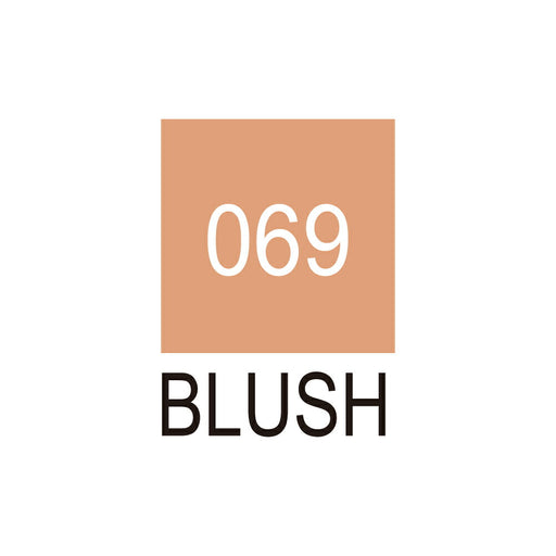 くれ竹 クリーンカラーリアルブラッシュ ＲＢ6000ＡＴ069（10セット）