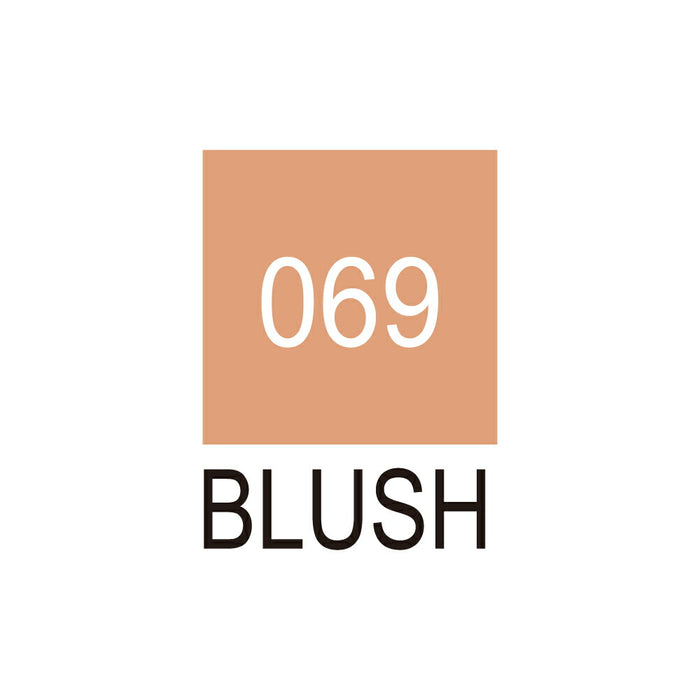 くれ竹 クリーンカラーリアルブラッシュ ＲＢ6000ＡＴ069（10セット）